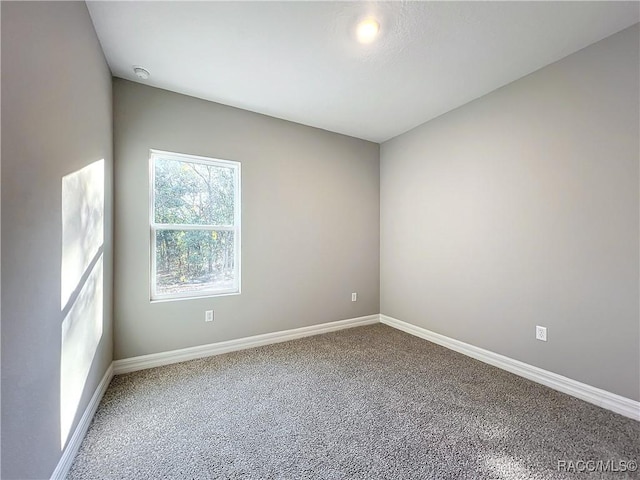 unfurnished room featuring carpet floors