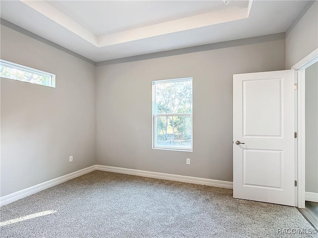 carpeted spare room with a tray ceiling