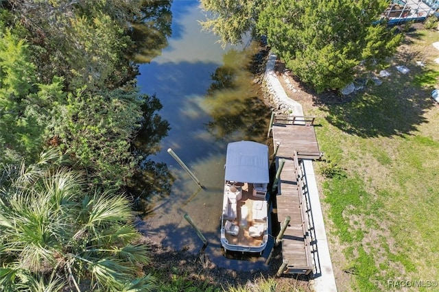 11752 W Valley Spring Ln, Homosassa, FL 34448 - photo 62