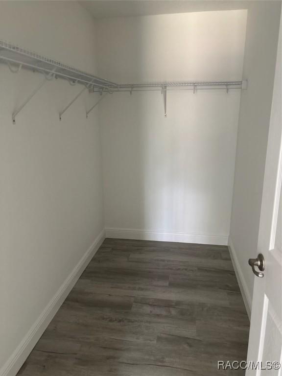 spacious closet featuring dark wood-type flooring