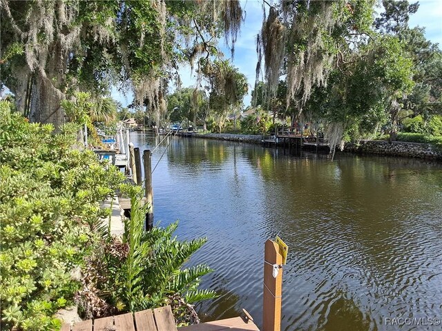 11583 W Riverhaven Dr, Homosassa, FL 34448 - photo 2