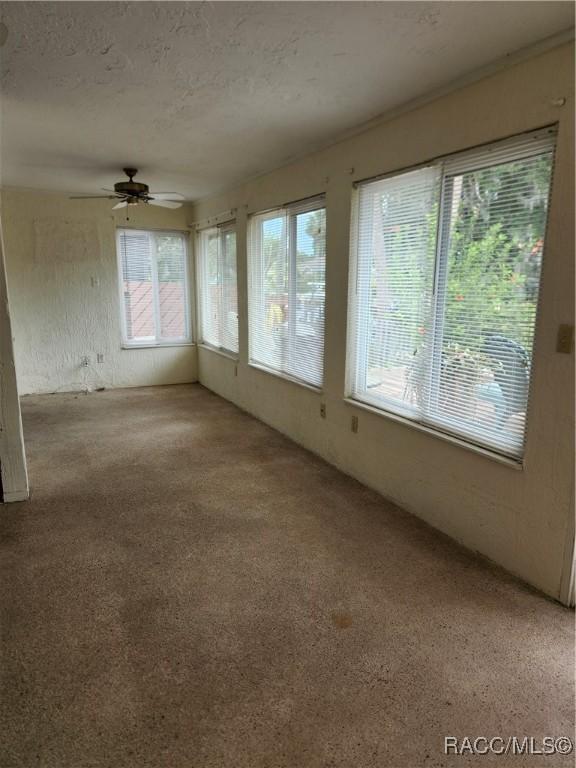 11583 W Riverhaven Dr, Homosassa, FL 34448 - photo 24
