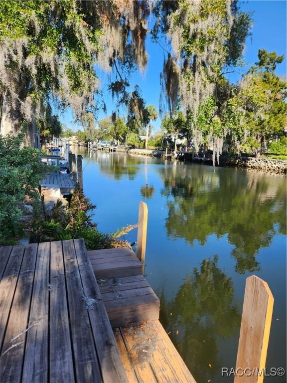 11583 W Riverhaven Dr, Homosassa, FL 34448 - photo 3