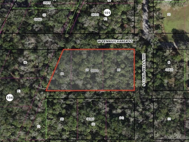 10388 Pennsylvania St, Homosassa, FL 34448