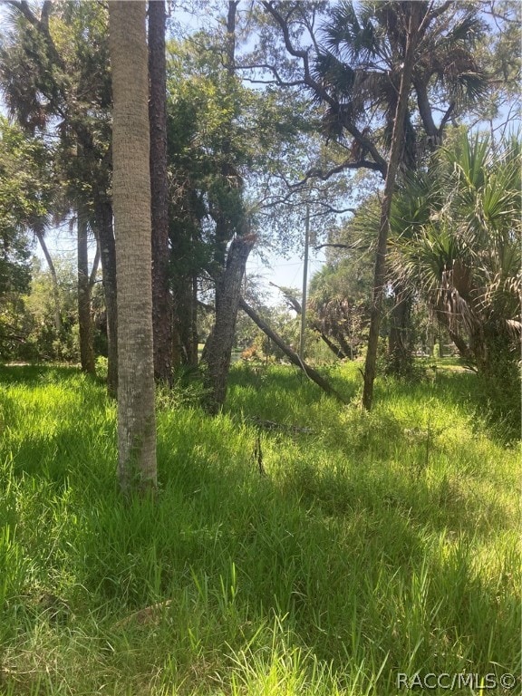 0 SW 137th St, Waldo FL, 34231 land for sale