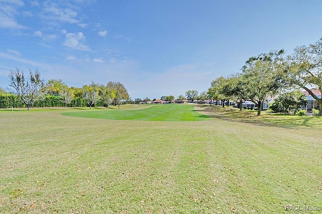 surrounding community featuring a yard