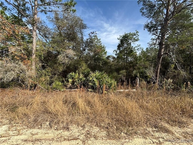 Listing photo 2 for 6653 N Zircon Pt, Dunnellon FL 34433