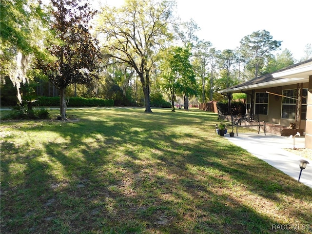 view of yard featuring a patio area