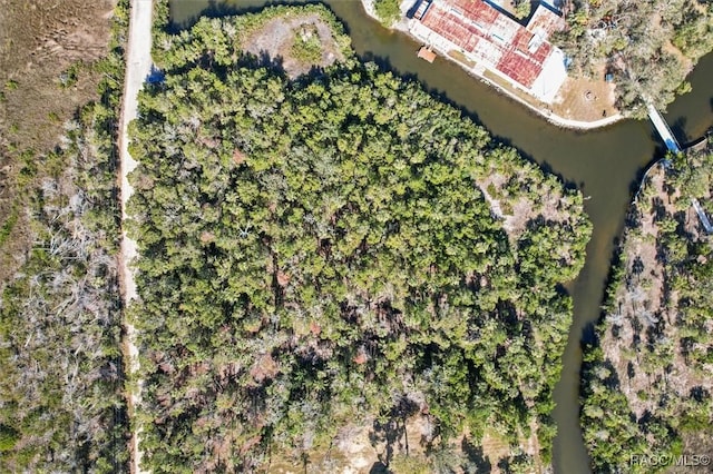 1725 S Waterbird Pt, Crystal River, FL 34429