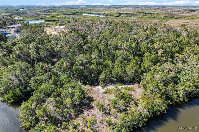 1725 S Waterbird Pt, Crystal River, FL 34429