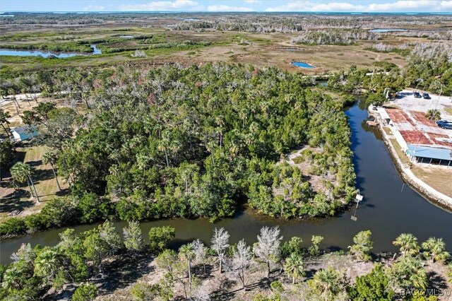 1725 S Waterbird Pt, Crystal River, FL 34429