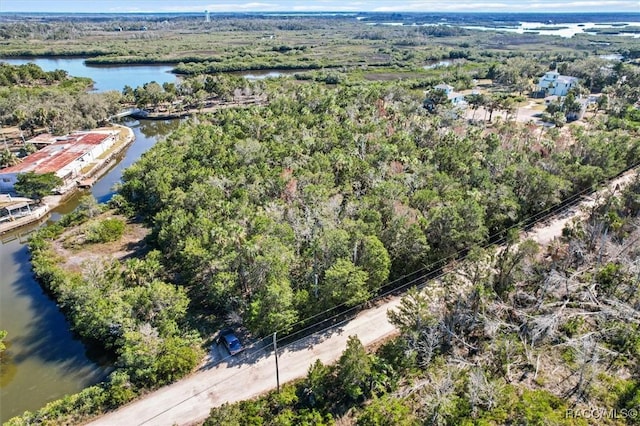 1725 S Waterbird Pt, Crystal River, FL 34429