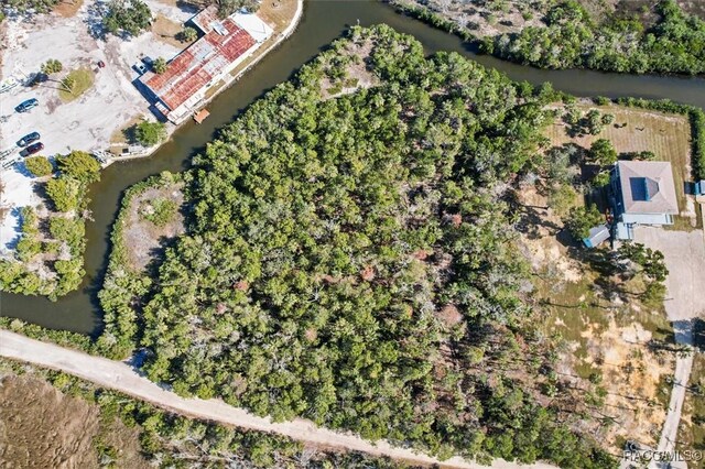 1725 S Waterbird Pt, Crystal River, FL 34429