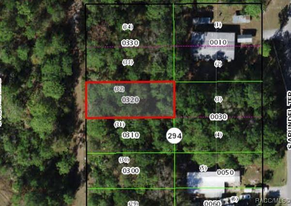 3183 S Kings Ave, Homosassa, FL 34448 - photo 1