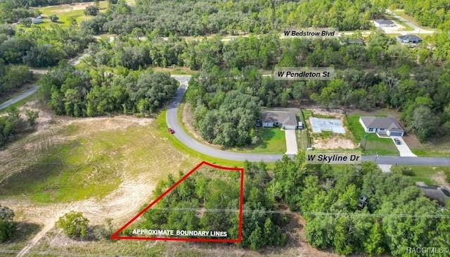 1439 W Skyline Dr, Citrus Springs, FL 34434 - photo 9