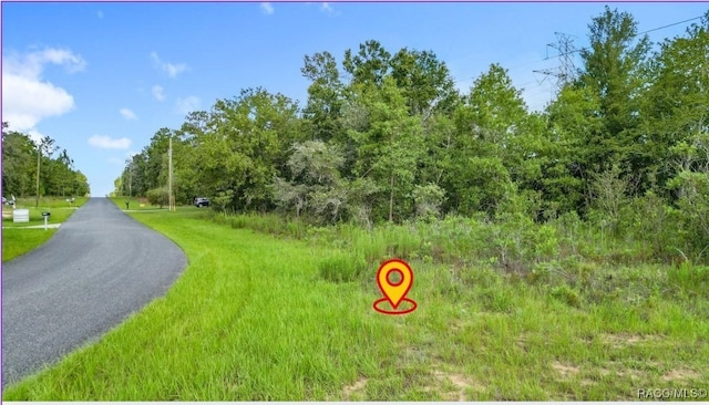 1439 W Skyline Dr, Citrus Springs, FL 34434 - photo 6