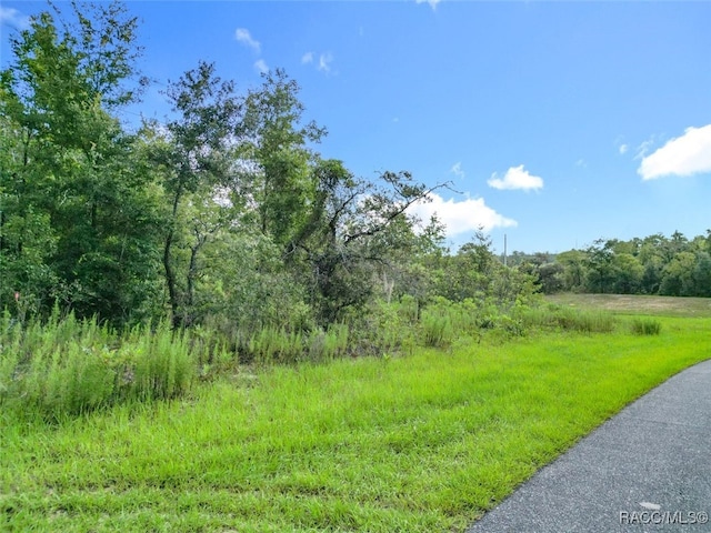 1439 W Skyline Dr, Citrus Springs, FL 34434 - photo 10
