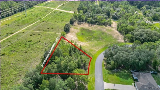 1439 W Skyline Dr, Citrus Springs, FL 34434 - photo 5