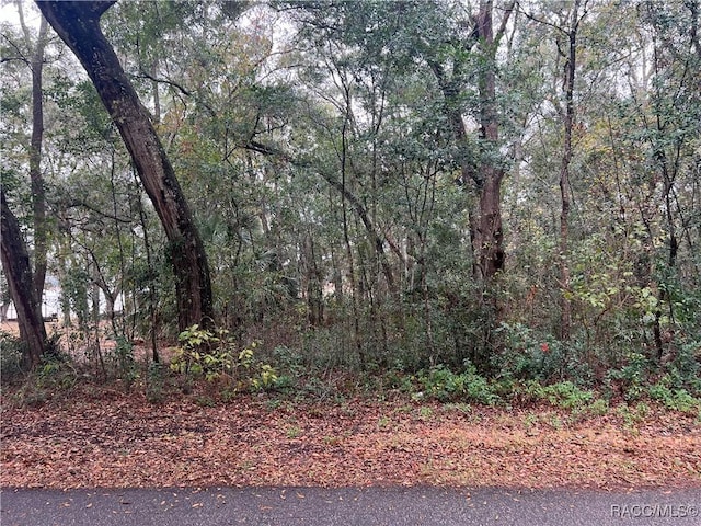 Listing photo 3 for LOT291.292 Shorewood Dr, Dunnellon FL 34431