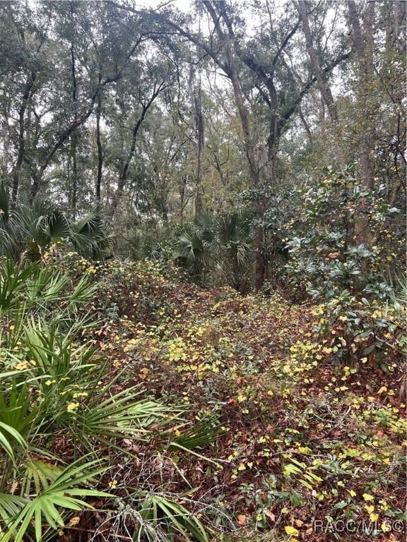 Listing photo 2 for LOT291.292 Shorewood Dr, Dunnellon FL 34431