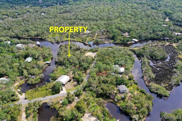 6755 S Beagle Dr, Homosassa, FL 34448
