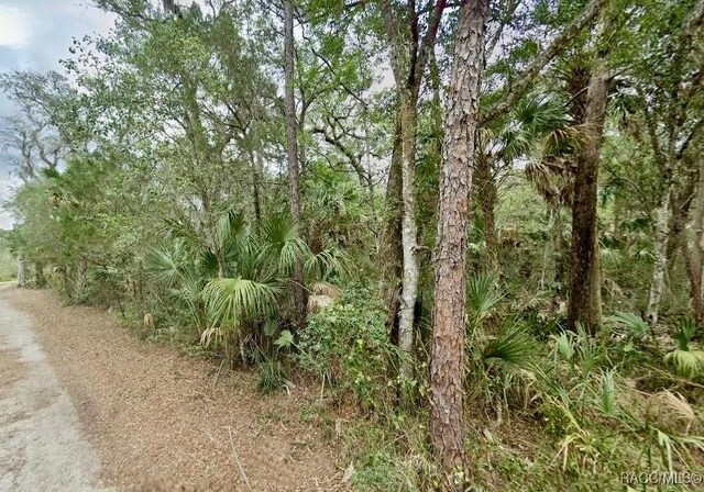 6755 S Beagle Dr, Homosassa, FL 34448