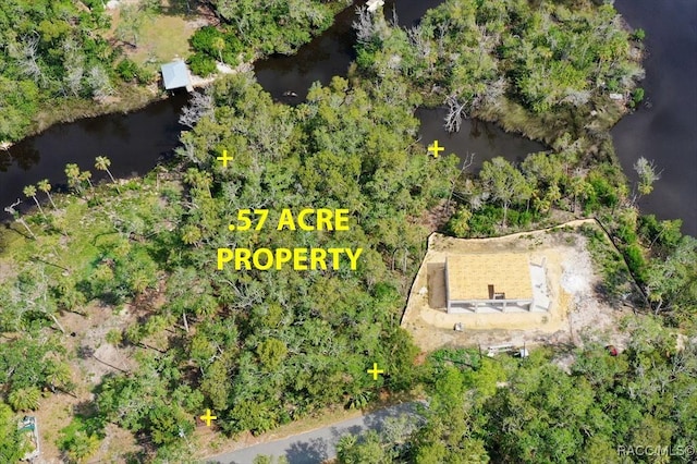 6755 S Beagle Dr, Homosassa, FL 34448