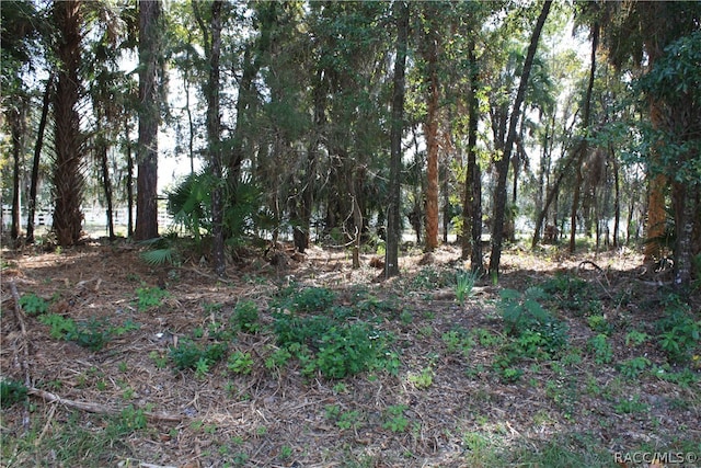 9249 W Ozello Trl, Crystal River FL, 34429 land for sale