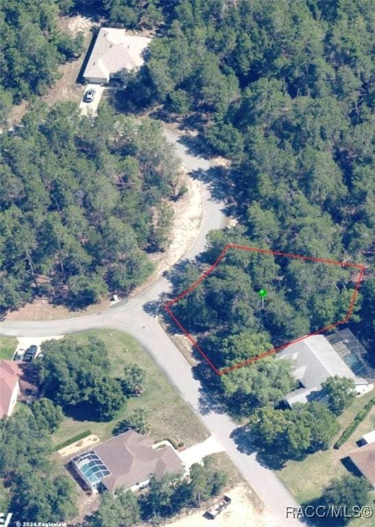 6 Schefflera Ct, Homosassa, FL 34446 - photo 3