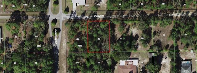 6114 W Bovio Ct, Dunnellon FL, 34433 land for sale