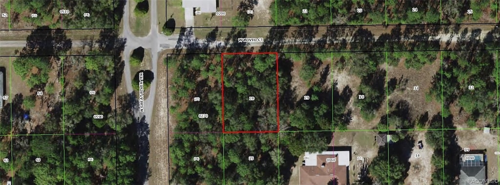 6114 W Bovio Ct, Dunnellon, FL 34433 - photo 1