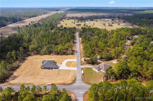 4201 W Fountain Ln, Citrus Springs, FL 34433 - photo 2