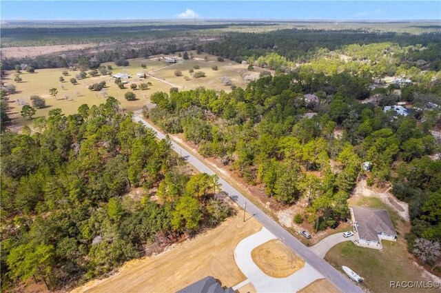 4201 W Fountain Ln, Citrus Springs, FL 34433 - photo 4