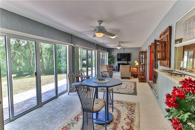 9 Longleaf Ct, Homosassa, FL 34446 - photo 13