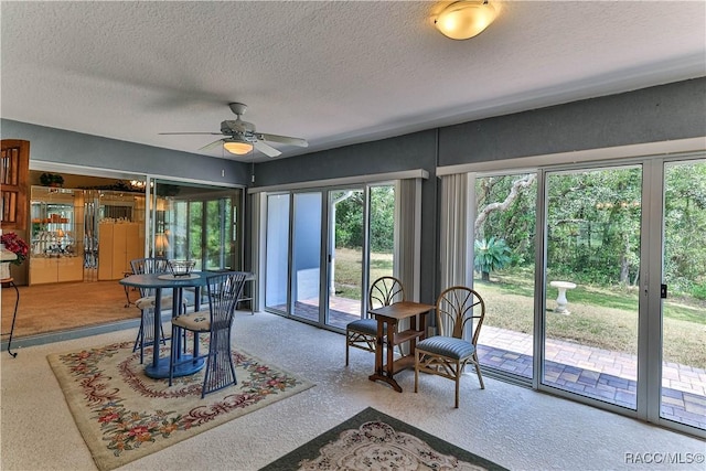 9 Longleaf Ct, Homosassa, FL 34446 - photo 16