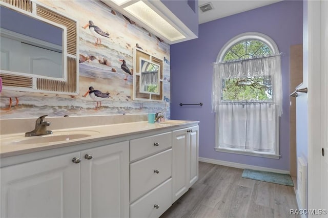 interior space featuring hardwood / wood-style floors and vanity