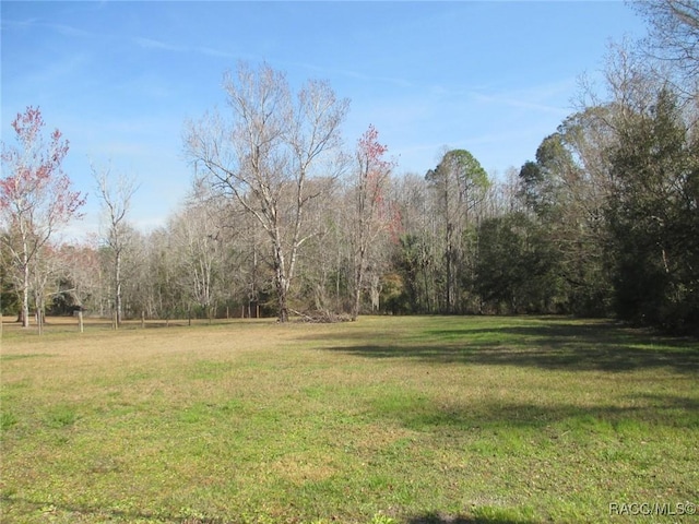 Listing photo 2 for 4891 S Morningside Ter, Homosassa FL 34446