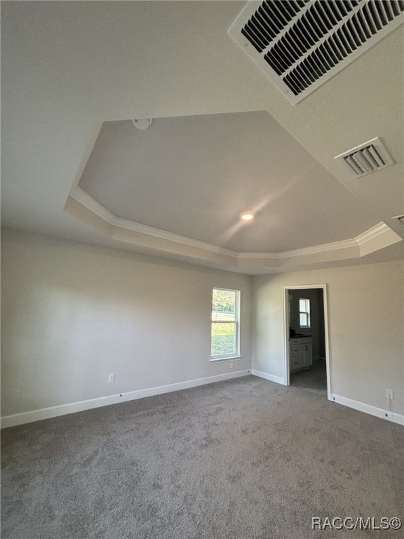 spare room featuring a raised ceiling, ornamental molding, and carpet floors