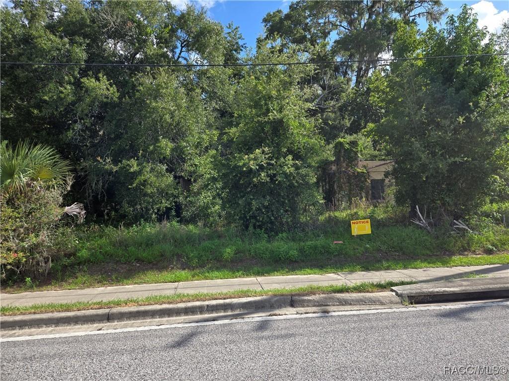 1181 E Norvell Bryant Hwy, Hernando, FL 34442 - photo 1