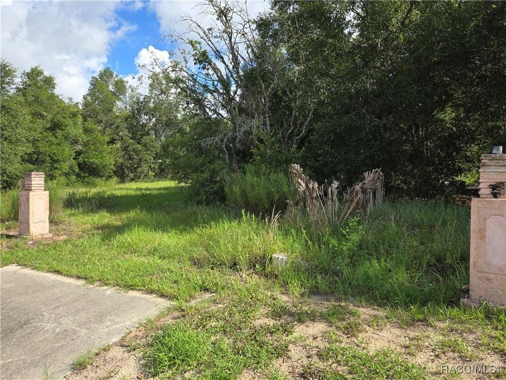 1181 E Norvell Bryant Hwy, Hernando, FL 34442 - photo 2