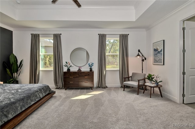 carpeted bedroom featuring a tray ceiling, ceiling fan, and ornamental molding