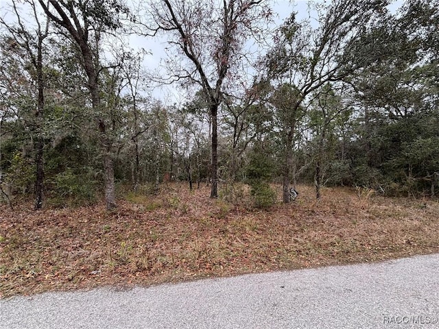 3043 E Kennedy St, Inverness FL, 34453 land for sale