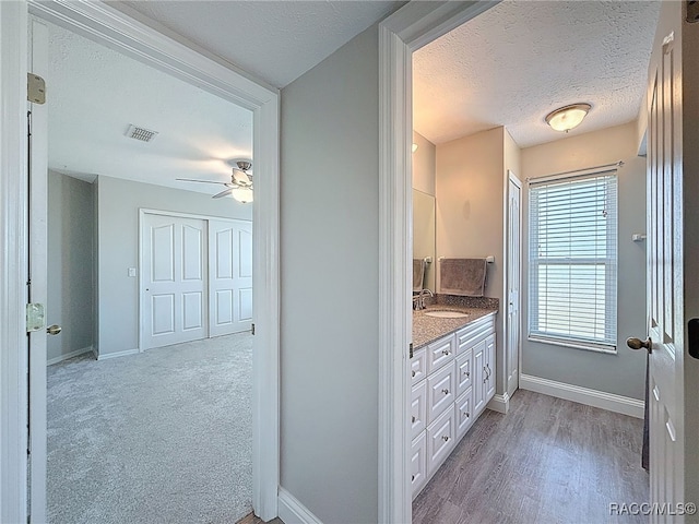 3342 Turks Cap Dr, Hernando Beach, FL 34607 - photo 33