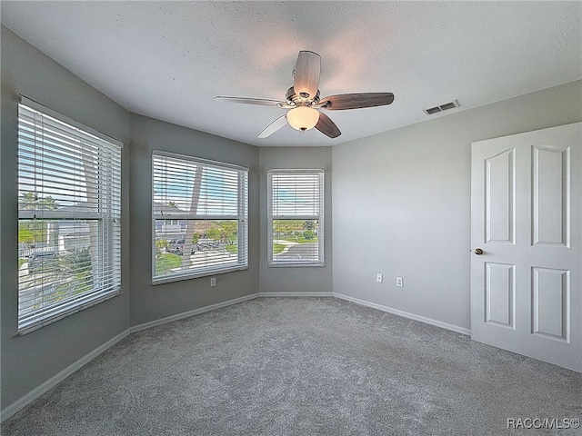 3342 Turks Cap Dr, Hernando Beach, FL 34607 - photo 37