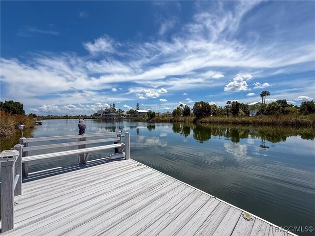 3342 Turks Cap Dr, Hernando Beach, FL 34607 - photo 65