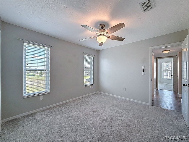 3342 Turks Cap Dr, Hernando Beach, FL 34607 - photo 31
