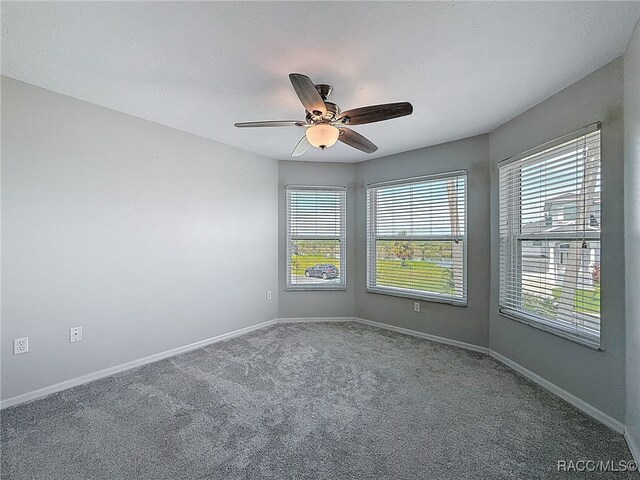3342 Turks Cap Dr, Hernando Beach, FL 34607 - photo 39