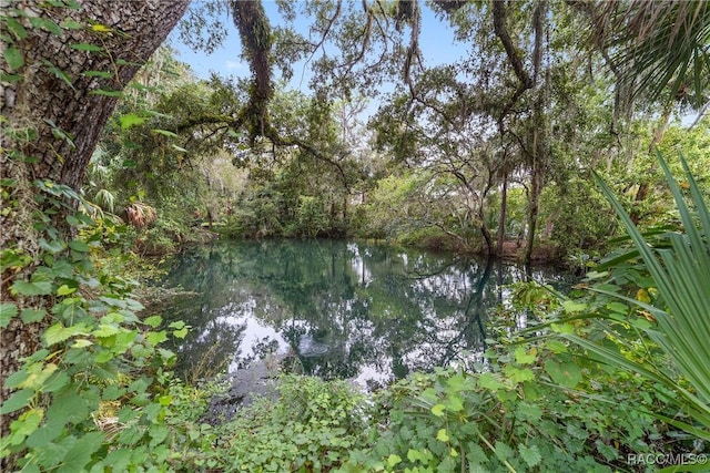 8835 SW 196th Terrace Rd, Dunnellon, FL 34432 - photo 64