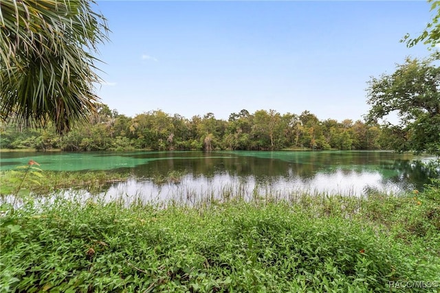 8835 SW 196th Terrace Rd, Dunnellon, FL 34432 - photo 63