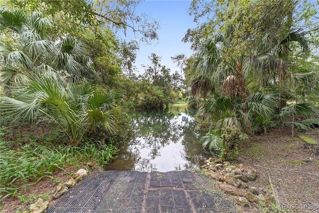 8835 SW 196th Terrace Rd, Dunnellon, FL 34432 - photo 62